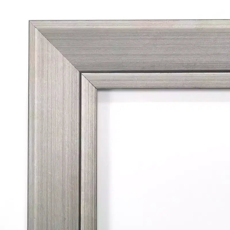 Specchio da porta stretto 18" x 52" in legno argento Romano senza bordo - Amanti Art: specchio da armadio moderno a figura intera da appendere